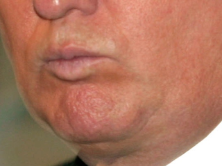 Illustration for article titled A Visual History of Donald Trump's Mouth